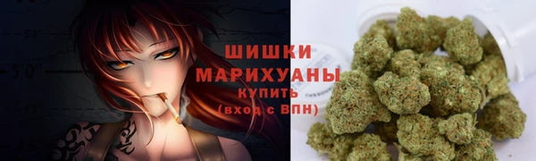 прущие грибы Армянск