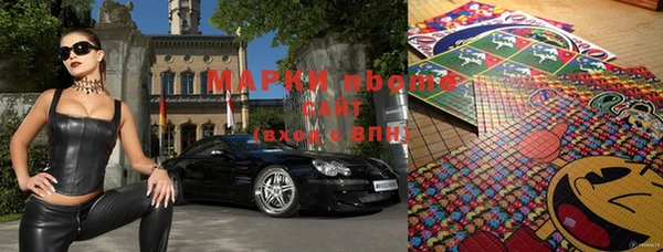 прущие грибы Армянск