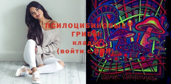 а пвп мука Аркадак