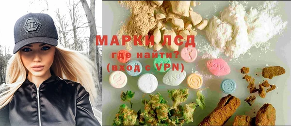 прущие грибы Армянск